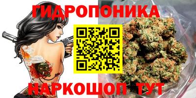 a pvp Лесосибирск