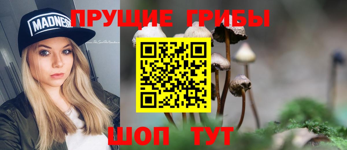 Галлюциногенные грибы Psilocybine cubensis  как найти   Галлюциногенные грибы GOLDEN TEACHER  Чистополь  Вход с VPN 